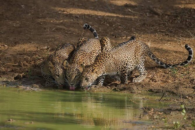 Yala Nationalpark